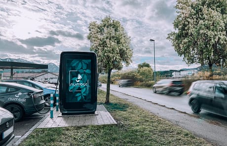 Auch am Rand von Parkplätzen findet der Numbat seinen Platz.